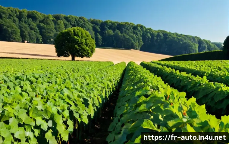 Planifier le remplacement des pièces d’automatisation : fréquence, coûts et critères de décision 4 자동화 설비 부품의 교체 주기 관련 이미지 2
